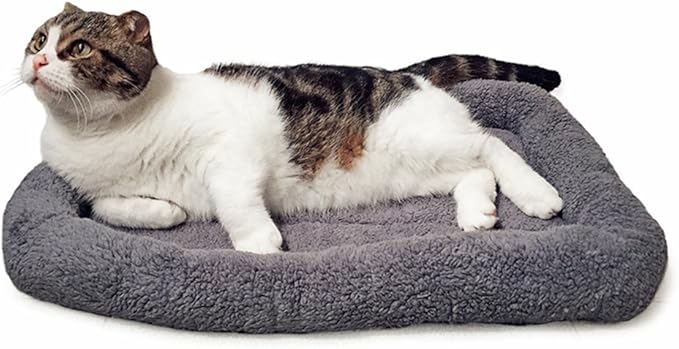 lesypet Cat Beds for Indoor Cats, 22" x 16" Pet Bed Curl Sleep Plush Cushion with Pillow, Non-Slip Bottom Washable Pet Mat for Small Dogs Pet, Medium
