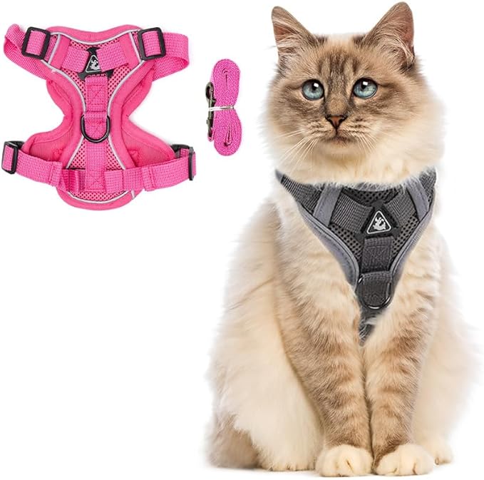 PetnBeyond Kitten Harness and Leash Set - Secure, Comfortable Control with Breathable Mesh Jacket - Adjustable Vest for Safe Walks with Reflective Strips - Kitty Escape Proof Kit (Small, Pink)