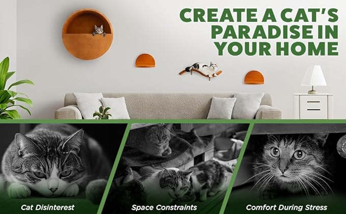 Modern Floating Wall Cat Shelves with Hiding Perch - 4 Piece Set for Climbing & Lounging - Stylish Wall-Mounted Cat Furniture