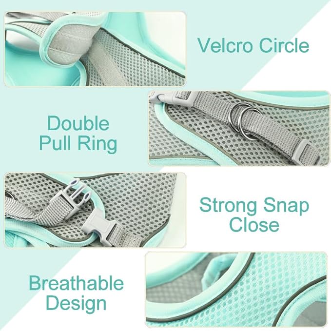 Cat Harness and Leash Set Soft Adjustable Escape Proof Cat Leash Breathable Comfortable Vest Easy to Wear Kitten/Small Dogs Harness for Outdoor Walking Green M