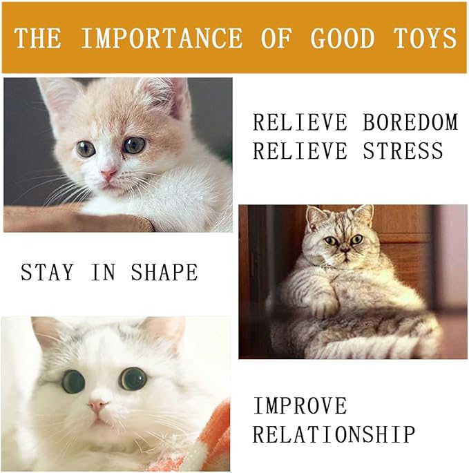 6 PCS Cat Toy Wand Refills, Shiny Insect Refills for Cat Wand Toy Furr Cat Toys Interactive Cat Teaser Wand Attachments, with Bell Fishing Pole Toy, Chase Exercise Toys for Indoor Cats and Kittens