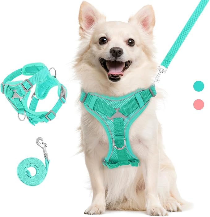 Cat Harness and Leash Set for Walking, Adjustable Kitten Vest Harness with Reflective Strip Breathable Mesh, Escape Proof Soft Pet Safety Vest for Cats, Kittens, Puppies, L, Lake Blue