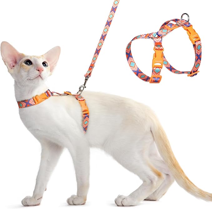 Dooradar Cat Harness and Leash, Escape Proof Adjustable Kitten Vest, Lightweight Soft Pet Straps, Easy Wearing for Small Medium Kitty Safe Walking Travel Control, Orange & Blue, S