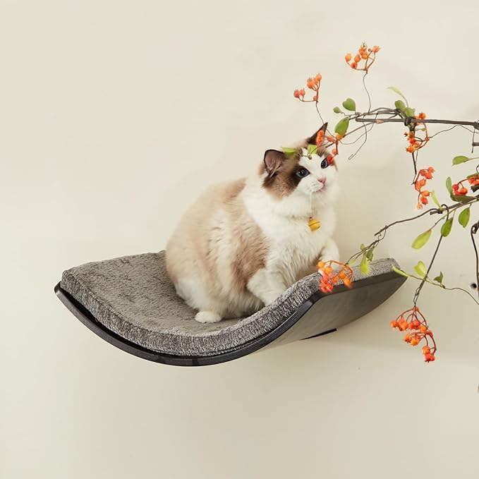 Cat Shelf with Comfortable Cat Cushion - Curved Modern Cat Bed (Large Size) - Lotus Leaf Design Cat Wall Perch - Wall Mounted Cat Furniture for Sleeping, Playing, Climbing, and Lounging, Walnut