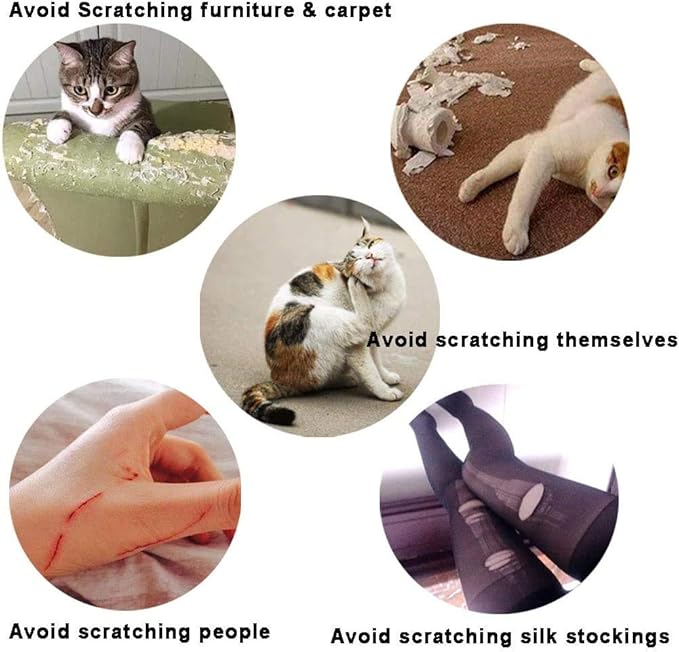 100pcs Cat Nail Caps Clear Cat Paw Covers Kitten Nail Caps Pet Tips with Adhesives and Applicators Extra Small