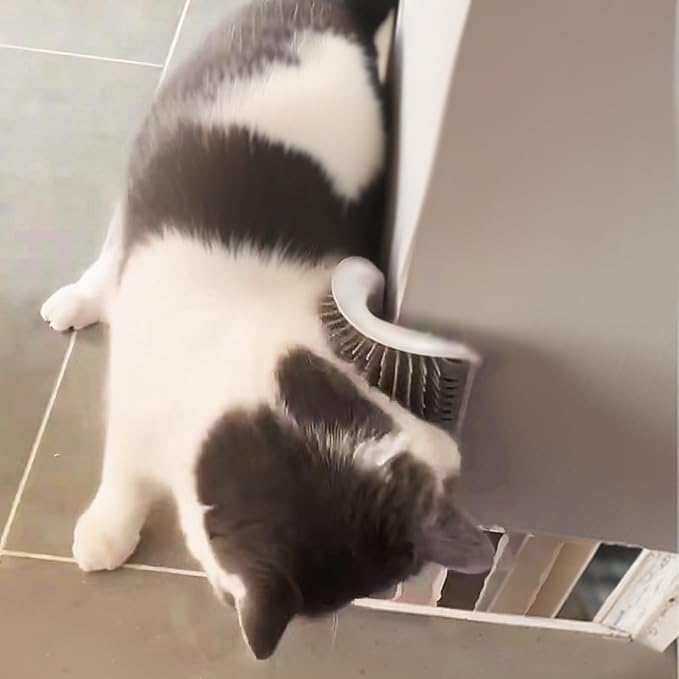 2 Pack Cat Self Groomer, Wall Corner Groomer Brush, Cat Face Scratchers, Cat Self Groomer for Indoor Cats, Wall Corner Cat Scratcher for Long/Short Fur Kitten 6.3inch