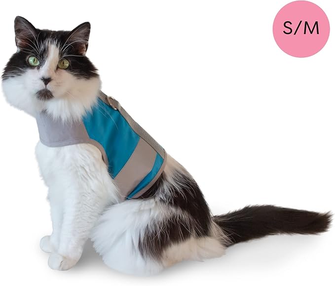 CAT SCHOOL Cat Harness and Leash Set for Outdoor Walks, Training, and Travel - Secure, Soft, Comfortable Cat Vest Harness with 10' Long Cat Leash - Easy to Use with Step-by-Step Instructions