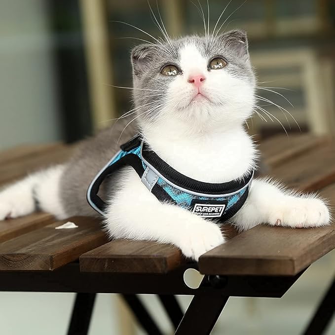 Soft Mesh Dog Harness and Leash Set, Step-in Reflective Breathable Comfort Padded Quick Dry Pet Puppy Vest Harness for Extra-Small/Small Medium Dogs and Cats (Blue, XXS)