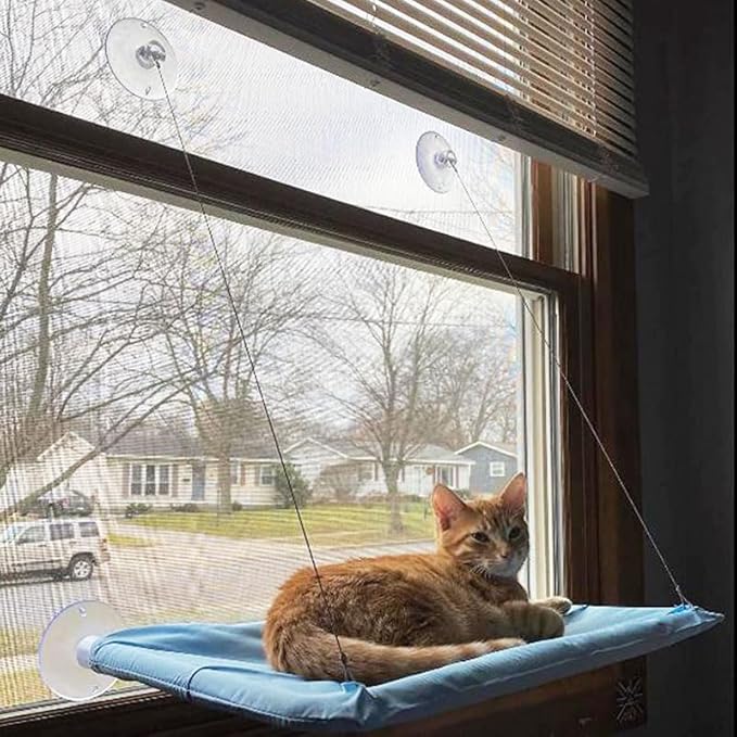 Cat Hammock for Window Cat Window Bed Cat Window Perch for Indoor Cats Suction Cups Cat Window Hammock Space Saving Window Seat for Cats Inside (Blue)