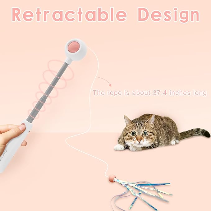 Andiker Cat Teaser Stick, Retractable Cat Wand with Replacement Head, Cat Feather Toy, Cat Interactive Toy for Indoor Cats for Relief Boredom and Exercise (Tassels+Feather)