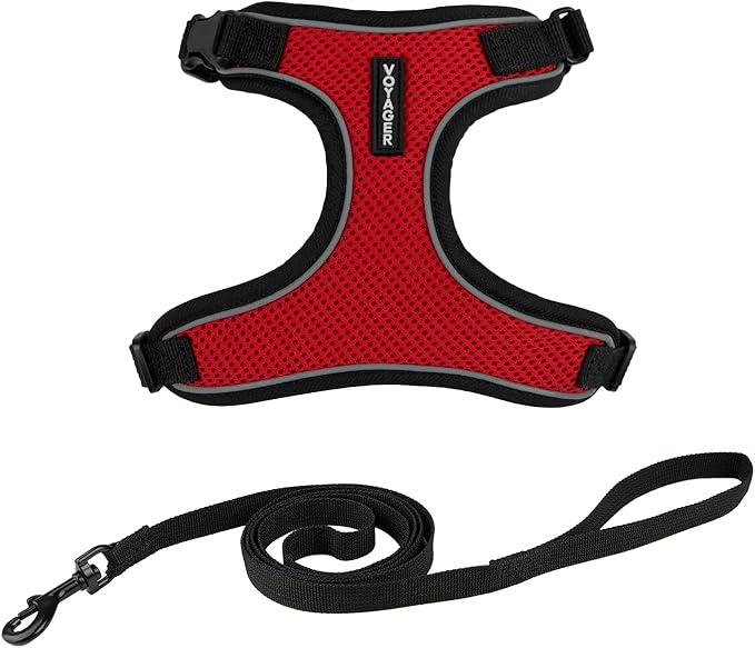 Voyager Escape Proof Cat Harness and Leash Set with Reflective Stitching, Neoprene Handle 5ft - Supports Small, Medium and Large Cats, Kittens for Walking by Best Pet Supplies - Black Trim-Red, S