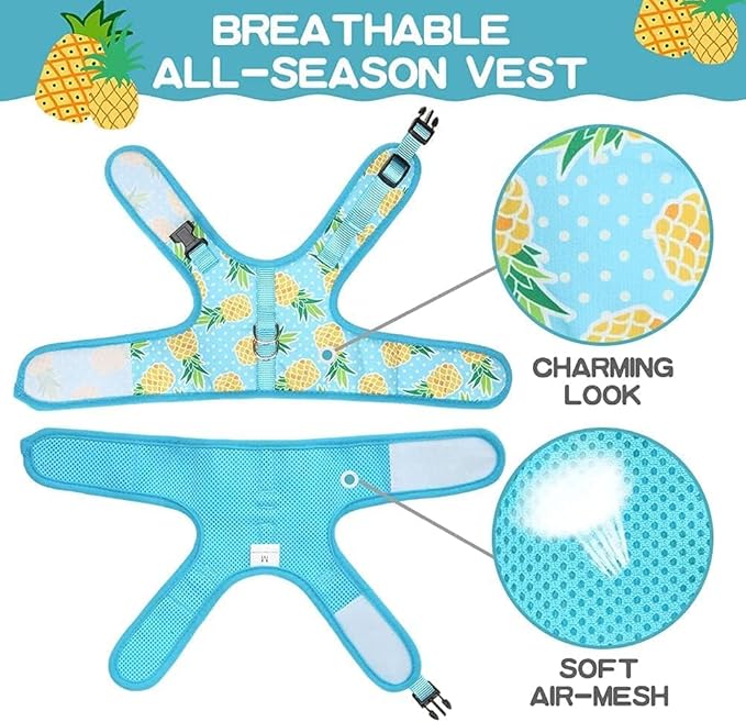 BINGPET Cat Harness - with Leash Included - Mesh Cat Dog Walking Harness Adjustable Harness for Kitties Puppy Harness Adjustable Cat Vest Harness Small Pineapple