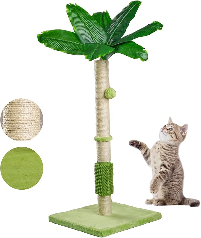 MeowHomm 40" Tall Cat Scratching Post,Cat Bird of Paradise Palm Tree for Indoor Cats with Natural Sisal Scratch Pole Hanging Sisal Ropes and Balls