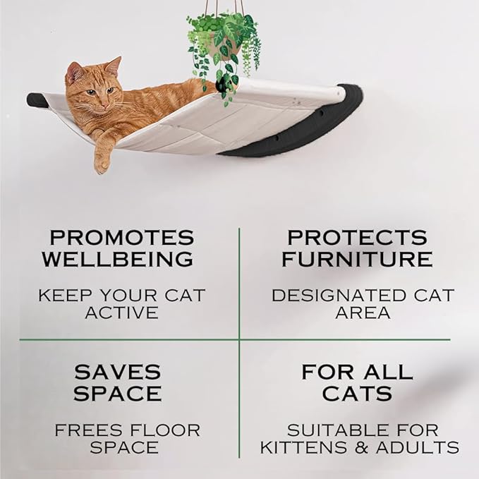 M-95 Mounted Cat Wall Shelves – Raised Cat Hammock, Bed and Perch with 2 Steps - for Climbing, Lounging, Playing, and Sleeping – Modern Cat Wall Furniture Set for Small or Large Cats (Black/Cream)