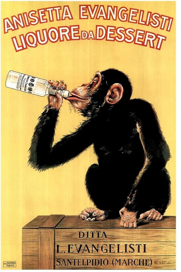 Anisetta Evangelisti Liquore Da Dessert by Carlo Biscaretti 1925 Vintage Alcohol Liquor Bottle Italian Advertising Drinking Monkey Chimpanzee Cool Wall Art Print Poster 16x24
