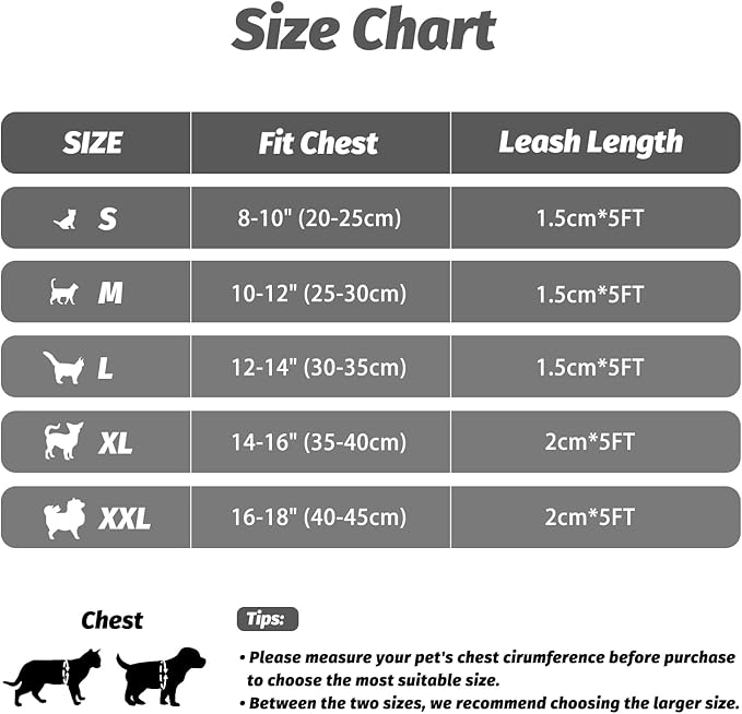 FAYOGOO Cat Harness, Cat Leash and Harness Set for Walking Escape Proof, Harness for Small Cats/Small Dogs, Large Kitten/Puppy Harness and Leash, Harness for Cats S-XXL(Gray, Medium)