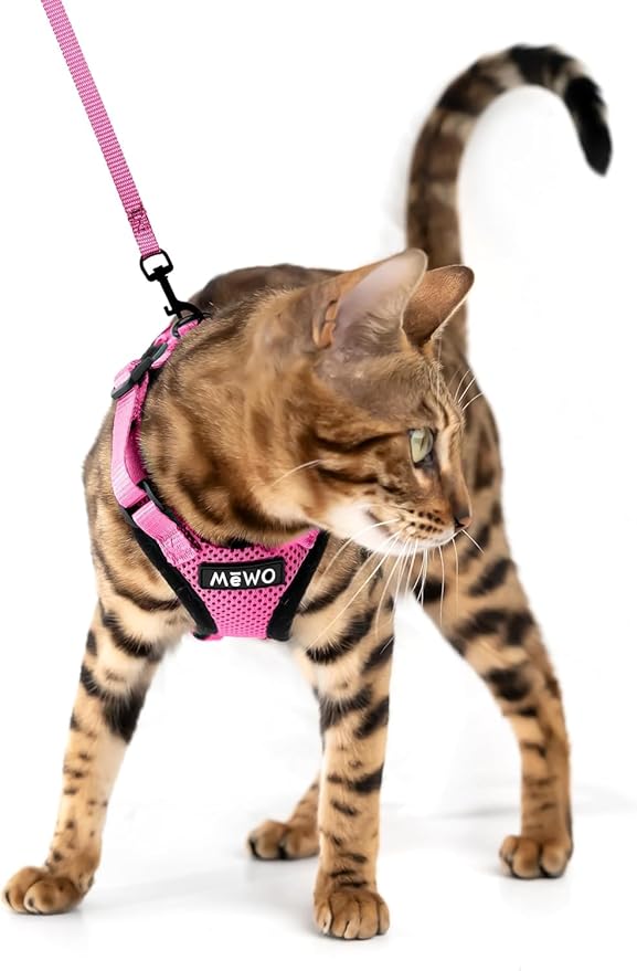 MeWO Kitten Leash and Harness Set - Escape Proof, Reflective, Adjustable for a Safe & Snug Fit - Small Cat Harness and Leash Set Cat Leashes and Harnesses for Walking Outdoors Kitten Harness and Leash