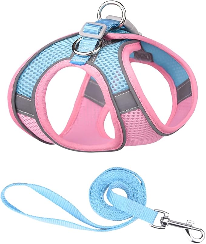 Cat and Small-Medium Dog Harness, No-Pull Pet Vest with Leash for Walking, Puppy Harness Set, Step-in Dog Harness for Small Breeds, Adjustable Mesh Harness