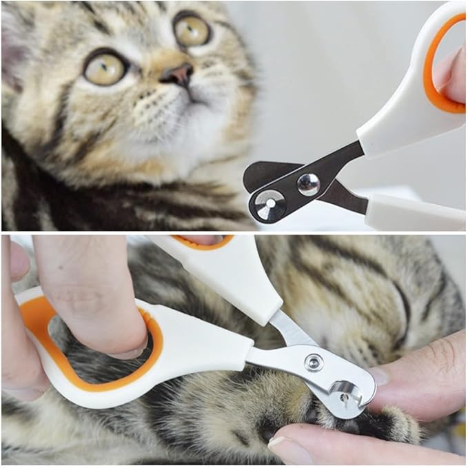 1PCS Pet Nail Clipper Orange Cat Nail Clipper with Round Cut Hole Claw Clipper Trimmer Claw Trimmer Pet Nail Scissor with Nail File for Cats, Birds, Reptiles and Small Animals