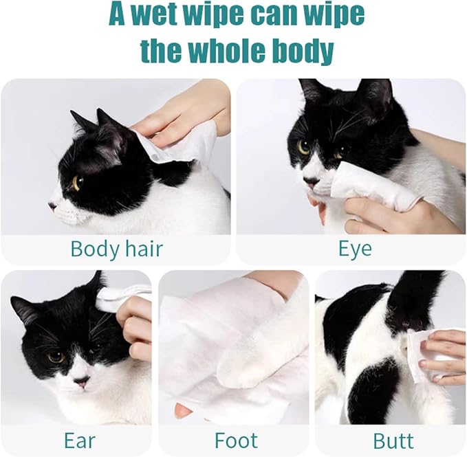 4 Pack Dog Individually Packaged Wipes Cat Wipes Pet Travel Wipes Pet Care Wipes Cat Dog Cleaning Wipes Perfect Travel Companion for Dogs and Cats(40 Counts)