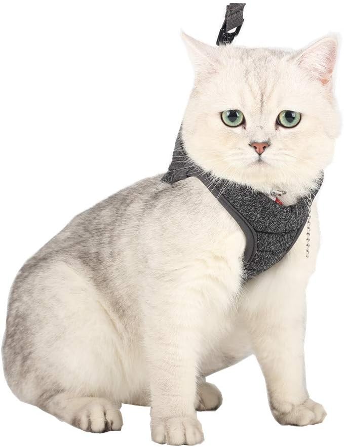 Heywean Cat Harness and Leash - Ultra Light Escape Proof Kitten Collar Cat Walking Jacket with Running Cushioning Soft and Comfortable Suitable for Puppies Rabbits (L, Grey)