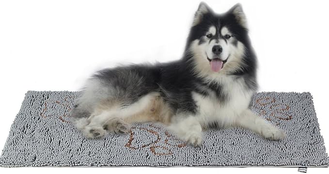 EXPAWLORER Dog Door Mat for Muddy Paws - Highly Absorbent Microfiber Dog Rug, Soft Chenille Dog Runner Rug Indoor Outdoor Floor, Non-Slip Large Pet Paw Cleaning Washable Mud Mat for Bathroom, Grey