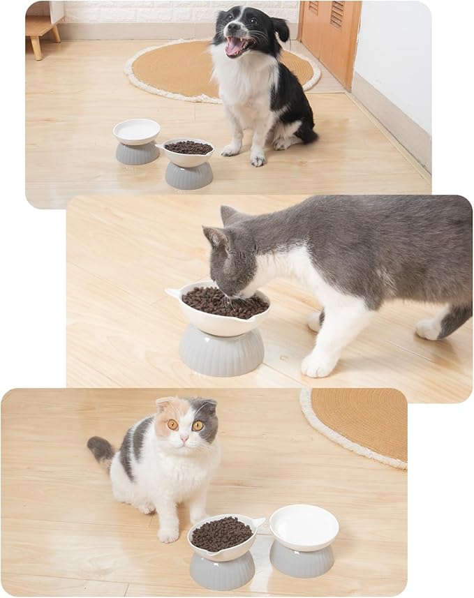 2 Ceramic Raised Cat Food Bowls, Elevated Cat Food and Water Bowl Set, Pet Bowl for Indoor Cats and Small Dogs, Anti-Vomiting Cat Dog Feeder with Plastic Base, Dishwasher Safe, Grey…