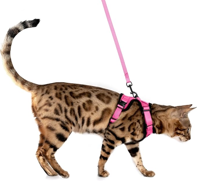 MeWO Kitten Leash and Harness Set - Escape Proof, Reflective, Adjustable for a Safe & Snug Fit - Small Cat Harness and Leash Set Cat Leashes and Harnesses for Walking Outdoors Kitten Harness and Leash