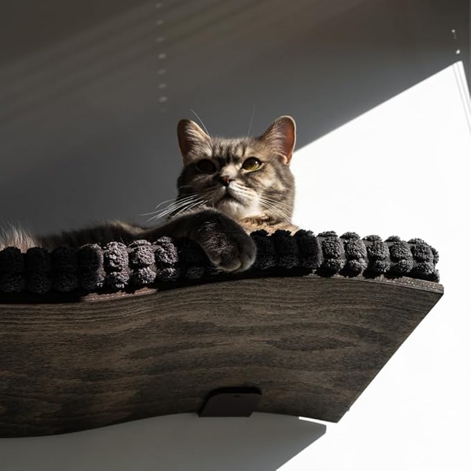 Cat Wall Furniture, Cat Steps for Wall, Cat Wall Mounted Bed, Cat House, Cat Shelves, Cat Bed, Cat Condo, Floating Cat Wall Shelf, Waved Shelf for Cat, Cat Set Grey Waved Shelf+Step