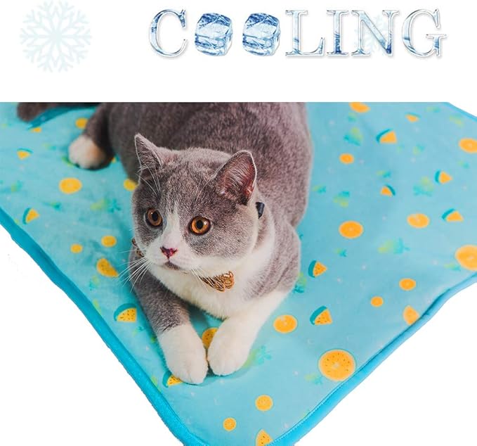 SEIS Dog Ice Pad Ice Silk Cats Kennel Mat Pet Cooling Pad Summer Cool Bamboo Mat Breathable Pad (Blue Fruit, L