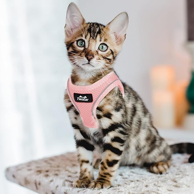TwoEar Cat Harness Escape Proof, Soft Dog Vest Harness Adjustable, Breathable Mesh Step-in Puppy Walking Jacket Reflective Easy Control for Extral Small Pets for Outdoor Walking (XXXS, Pink)
