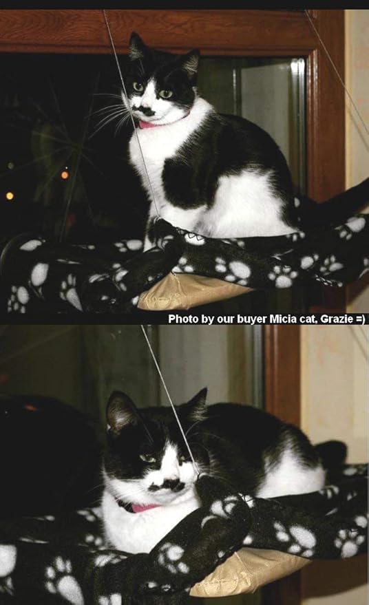 JZK Cat Window cat hammock + cat blanket, suction cup pet hanging bed and pet black blanket for cat perch