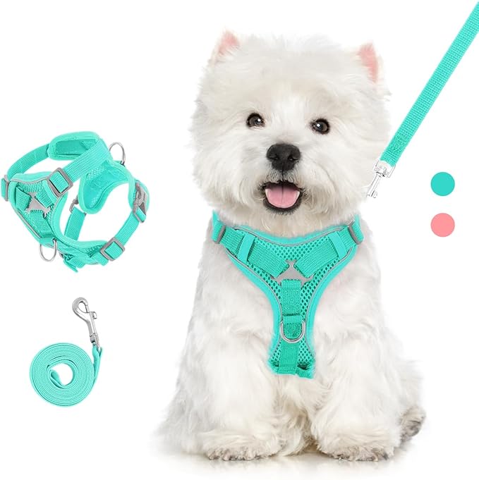 Cat Harness and Leash Set for Walking, Adjustable Kitten Vest Harness with Reflective Strip Breathable Mesh, Escape Proof Soft Pet Safety Vest for Cats, Kittens, Puppies, XL, Lake Blue