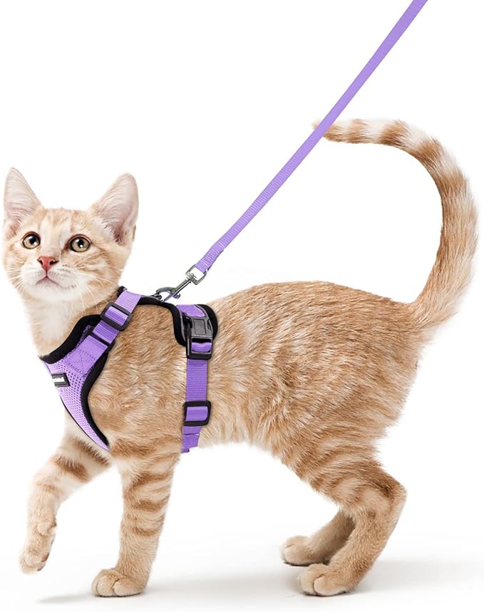 rabbitgoo Cat Harness and Leash for Walking, Escape Proof Soft Adjustable Vest Harnesses for Cats, Easy Control Breathable Reflective Strips Jacket, Light Purple, S