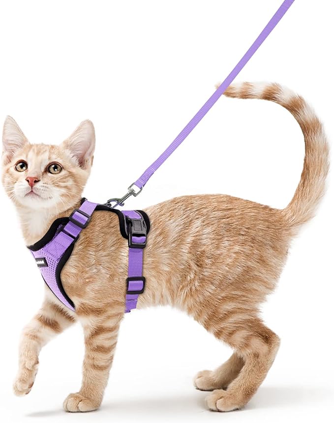 rabbitgoo Cat Harness and Leash for Walking, Escape Proof Soft Adjustable Vest Harnesses for Cats, Easy Control Breathable Reflective Strips Jacket, Light Purple, XS