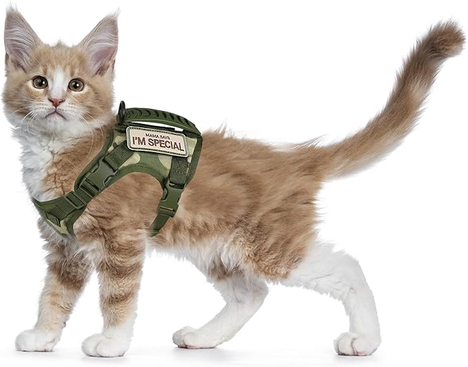 Tactical Cat Harness for Walking Escape Proof, Soft Mesh Adjustable Pet Vest Harness for Large Cat,Small Dog (L, A-Green)