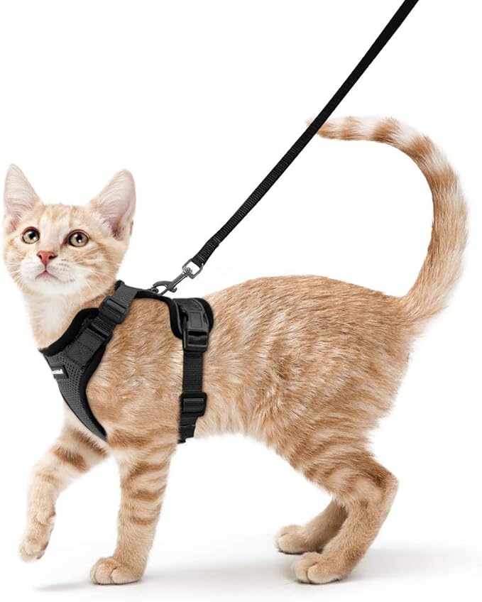 rabbitgoo Cat Harness and Leash for Walking, Escape Proof Soft Adjustable Vest Harnesses for Cats, Easy Control Breathable Reflective Strips Jacket, Black, S