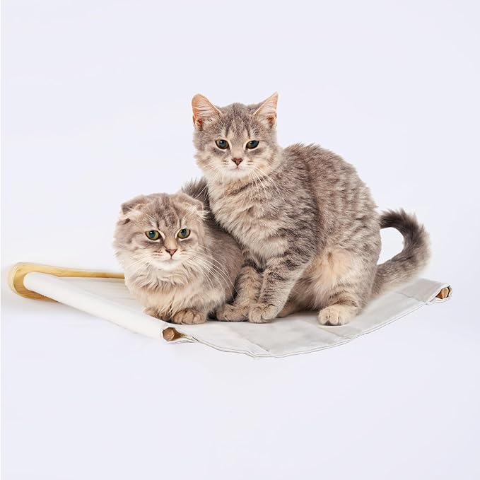 Cat Wall Shelves & Hammock Premium Durable Wood Construction Comfy Cat Beds for Large Cats & Kittens Ideal Indoor Cat Furniture for Climbing, Sleeping & Play (21 * 18.5 Inch Cotton Canvas)