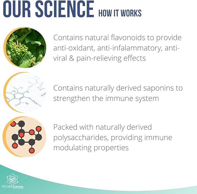 Approx 90 Servings Cat Kidney Support Chews - Feline Kidney Restore - Renal Cat Treats - Cats Kidney Support Supplement - Urinary Tract Irritations Control for Cat - Made in The USA