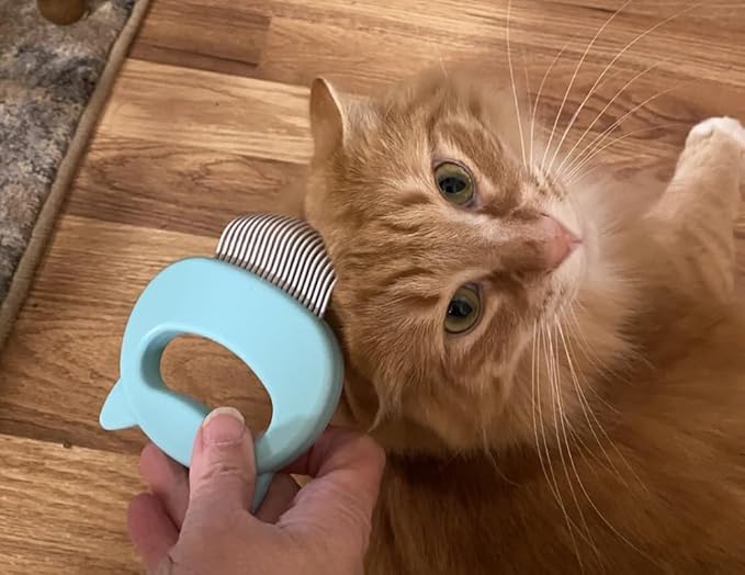 AKOAK 1 Pack Cat Massage Comb, Pet Hair Removal Massage Shell Brush, Soft Hair Removal Brush Comb and Shed Fur Remover Hair Removal Tool for Long and Short Hair Cats Dogs Puppies Rabbits