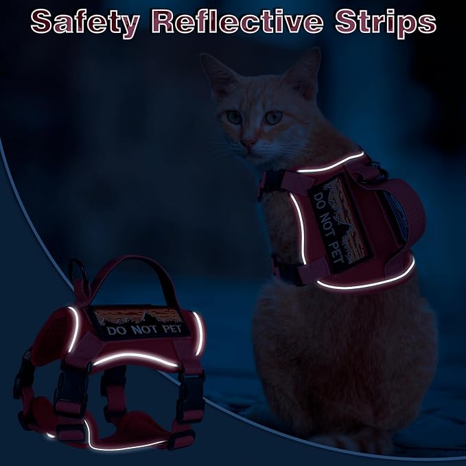 Tactical Cat Harness for Walking, Adjustable Escape Proof Pet Vest for Large Cat,Easy Control Breathable Cat Vest with Handle，Molle Patches (Pink, L)