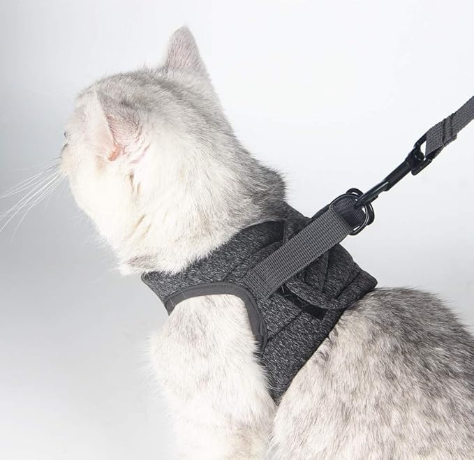 HEYWEAN Cat Harness and Leash - Ultra Light Escape Proof Kitten Collar Cat Walking Jacket with Running Cushioning Soft and Comfortable Suitable for Puppies Rabbits