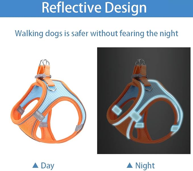 Cat and Small-Medium Dog Harness, No-Pull Pet Vest with Leash for Walking, Puppy Harness Set, Step-in Dog Harness for Small Breeds, Adjustable Mesh Harness