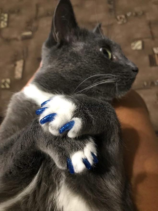 100pcs Cat Nail Caps/Tips Pet Cat Kitten Paws Covers Control Paws of 10 Nails Caps and 5Pcs Adhesive Glue 5 Applicator with Instruction