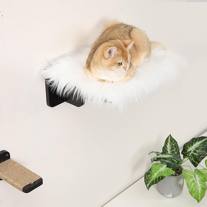 Cat Wall Shelves, Cat Shelves and Perches for Wall, Cat Wall Furniture, Cat Wall Mount Climbing Shelf with 3 Steps Scratch Post, Cat Bed Hammock with Plush Covered for Indoor Cats (Black)