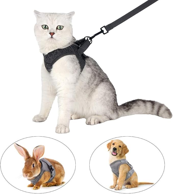 Heywean Cat Harness and Leash - Ultra Light Escape Proof Kitten Collar Cat Walking Jacket with Running Cushioning Soft and Comfortable Suitable for Puppies Rabbits (L, Grey)