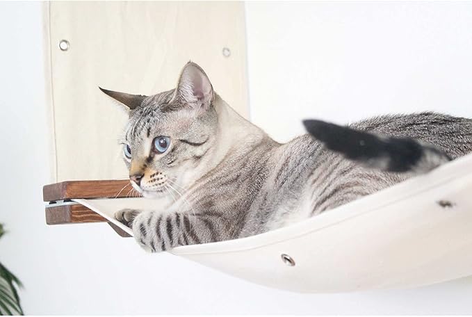 Catastrophic Creations Double Decker Cat Hammock – Wall Mounted Cat Tree with Hammock Perch – Cat Wall Hammock w/Canvas Fabric – Bamboo Cat Tower for Indoor Cats – Modern Cat Furniture