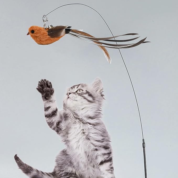 8 Pieces Cat Feather Toys Replacement Cat Toy Wand Refills Cat Toy Replacement Natural Bird Feathers for Cat Toys