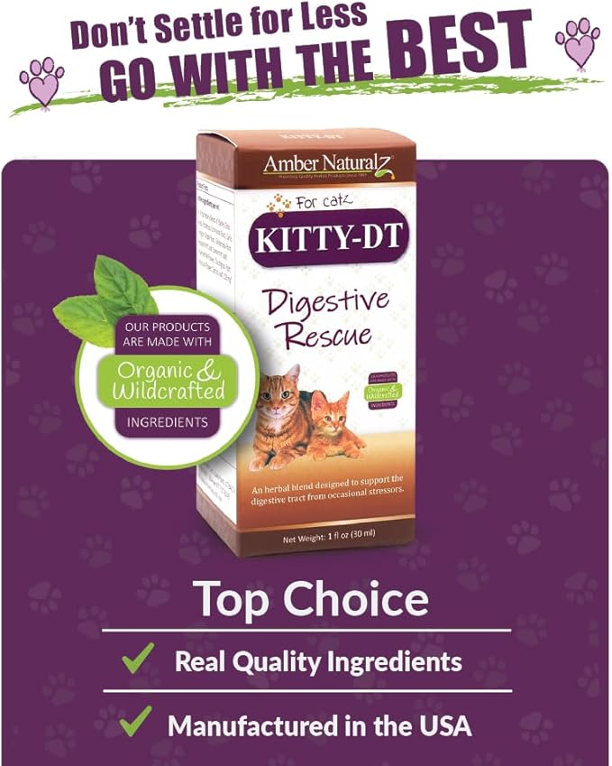 AMBER NATURALZ Kitty-DT Digestive Rescue Herbal Supplement for Cats | Feline Herbal Supplement for Occasional Upset and Digestive Support | 1 Fluid Ounce Glass Bottle | Manufactured in The USA