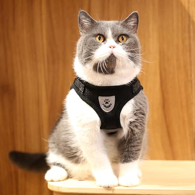 Comfort Step-in Cat Dog Harness and Leash Set for Puppies Cats Kitty Escape Proof Pet Vest Harnesses for Small Animals Rabbit/Mouse/Cats (L:5-7KG, Black)